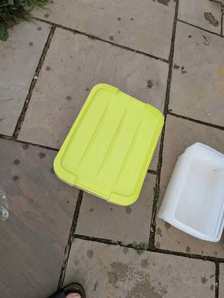 Photo of free Plastic Storage Boxes (Banwell BS29) #4