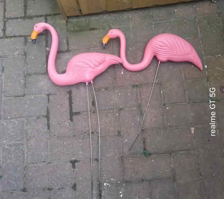 Photo of free Garden flamingoes (Allestree DE22) #1