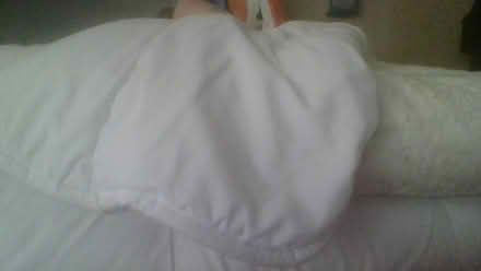 Photo of free Excess Bedding (BA2) #3