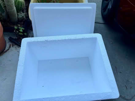 Photo of free Small syrofoam cooler, no outer box (Mountain View nr train station) #1