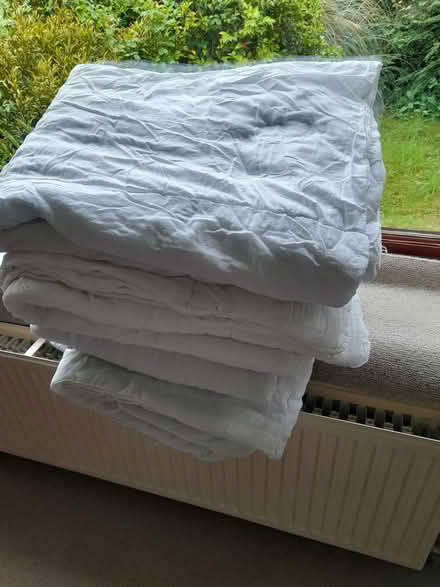Photo of free Duvets, 2 single, 1 double. (Vole TA9) #2