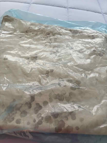 Photo of free Duvet Cover and Shams (San Rafael - Terra Linda) #1