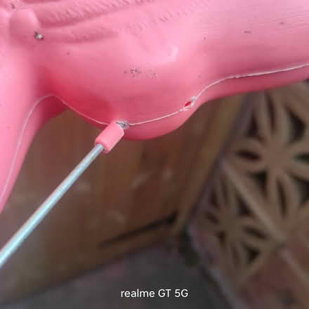 Photo of free Garden flamingoes (Allestree DE22) #2