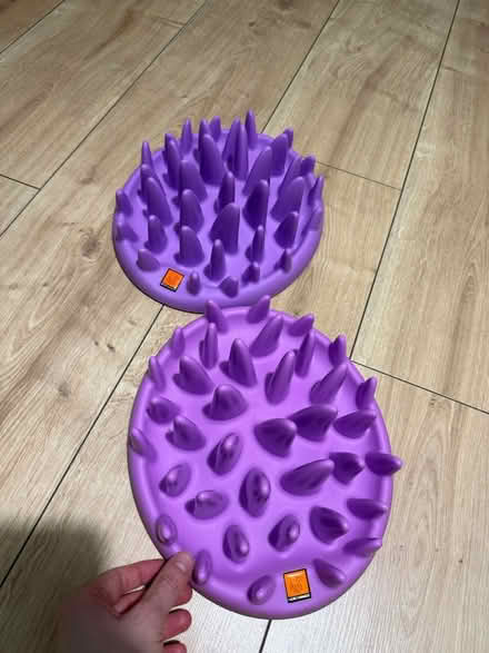 Photo of free Cat enrichment food bowl (Islington N1 (essex road)) #1
