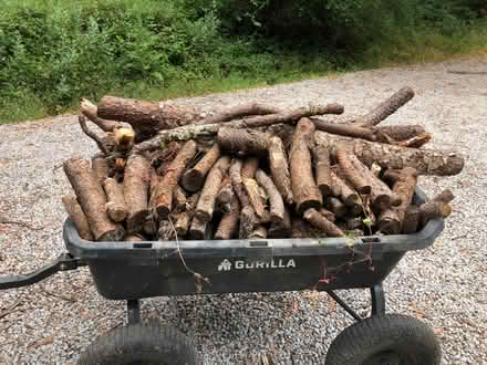 Photo of free Load of pine firewood (kindling) (Scotts Valley by Vine Hill Rd.) #1