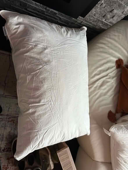 Photo of free Pillows (Elmers End BR3) #4