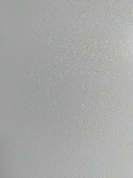 Photo of Alexa n a laptop if anyone has one going (Racecourse) #1