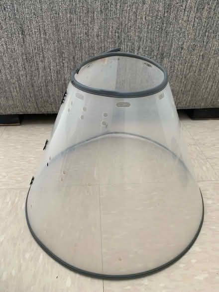 Photo of free For your fur baby (Mayfield High) #2