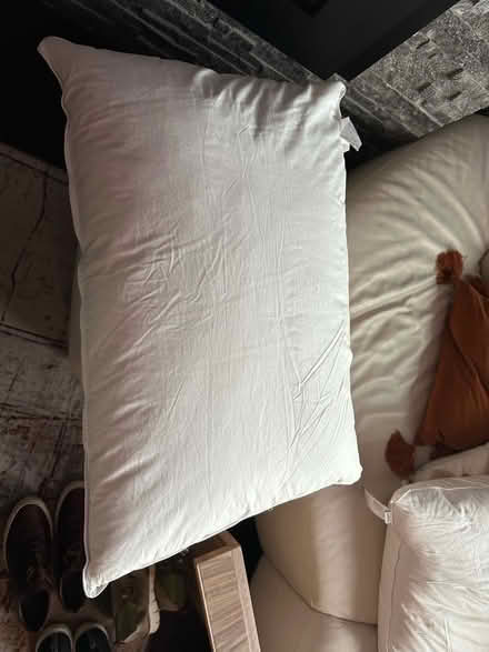 Photo of free Pillows (Elmers End BR3) #3