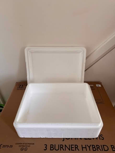 Photo of free Styrofoam freezer box (E17) #1