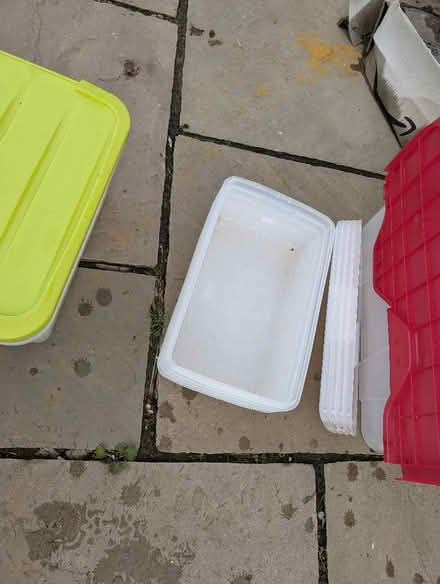 Photo of free Plastic Storage Boxes (Banwell BS29) #2