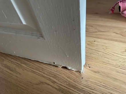 Photo of free 1 white internal door (L17) #3