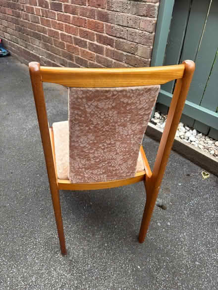 Photo of free 6 wooden dining chairs with padded seats (Wilmslow SK9) #1