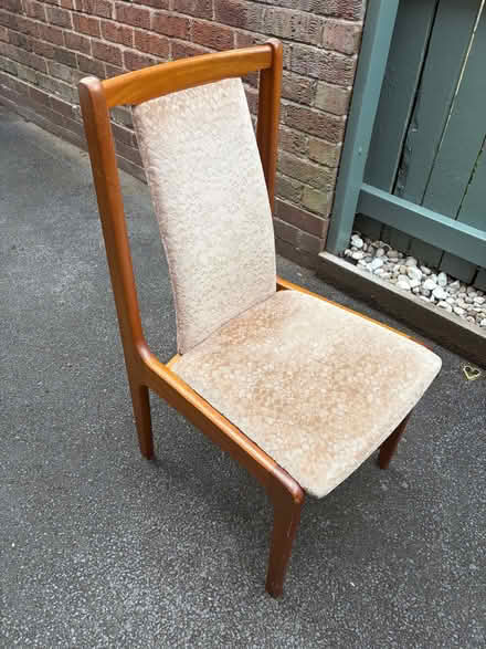 Photo of free 6 wooden dining chairs with padded seats (Wilmslow SK9) #2