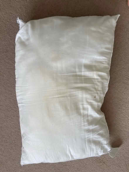 Photo of free Foam Pillow (North Tonbridge TN10) #1