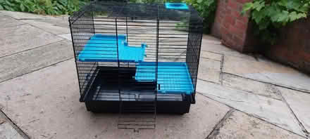 Photo of free Hamster Kit (Hertford SG14) #4