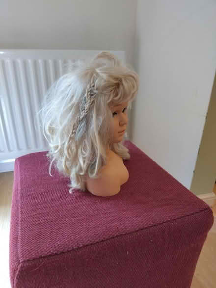 Photo of free Doll head toy for playing hairdressers etc (Chippenham SN14) #3