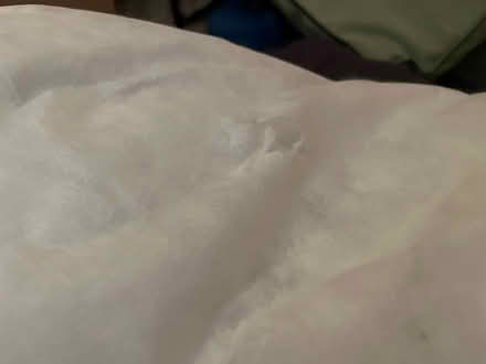 Photo of free Double duvet (CR5) #2
