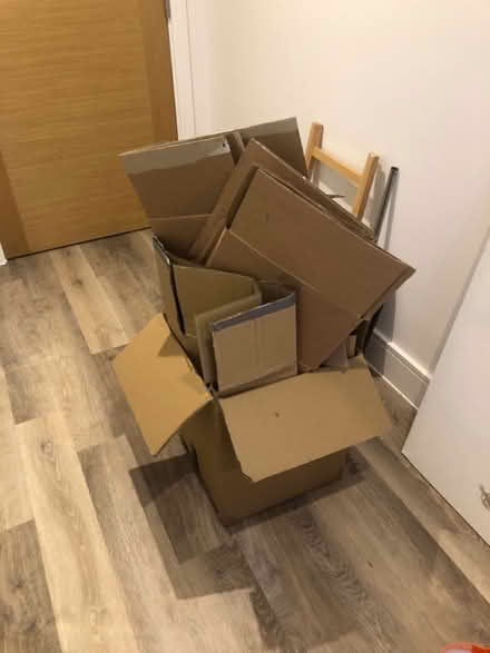 Photo of free cardboard boxes - flattened (BN3) #2