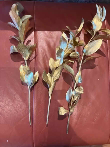Photo of free Gold sprayed decorative leaves (Newport Pagnell MK16) #1