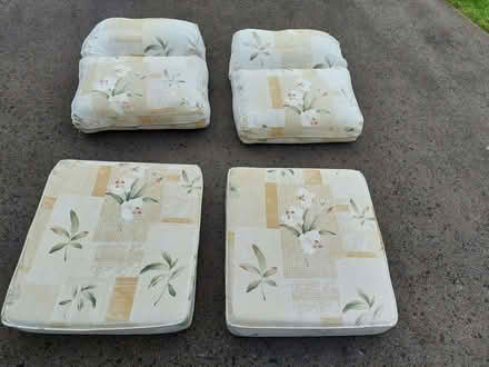 Photo of free Conservatory chair cushions (Hertford Road SG2) #1