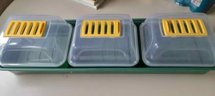 Photo of free Seed propagator (Lower Stoke CV3) #1