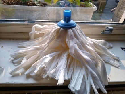 Photo of free Mop head (Freehold, Lancaster LA1) #1