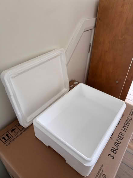 Photo of free Styrofoam freezer box (E17) #2