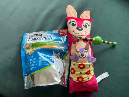 Photo of free Cat soft igloo bed & toys (Ham TW10) #2