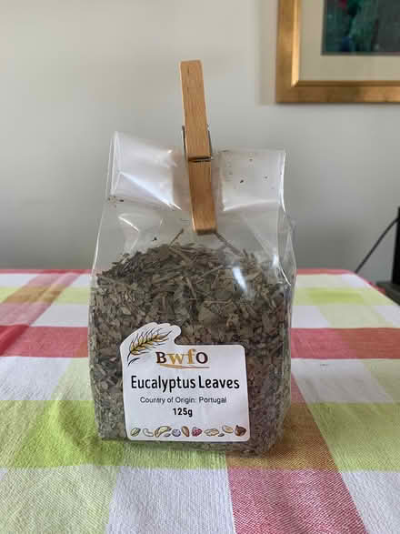 Photo of free Eucalyptus leaves (make tea) (Fox Hill S6) #1