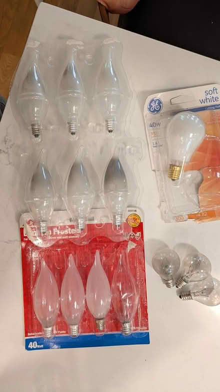 Photo of free Small-base incandescent bulbs (Roslindale) #1