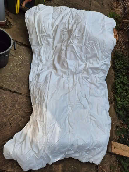 Photo of free Single quilt - thick, hollow polyester filling (Trumpington Ward CB2) #1