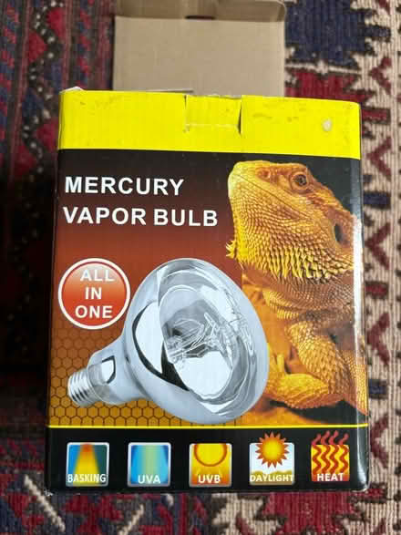 Photo of free Reptile heat bulb (E8) #1