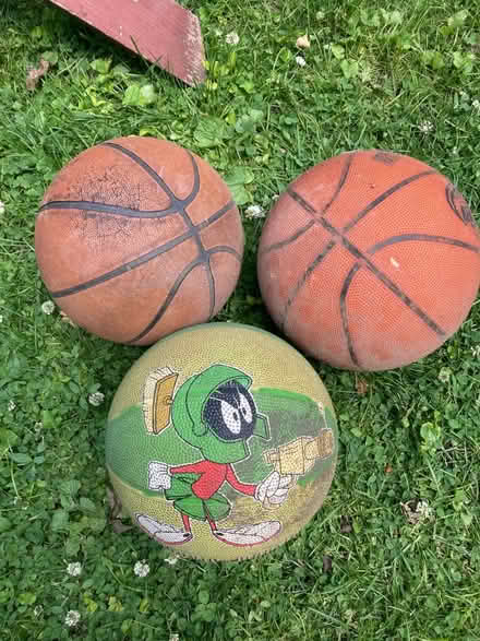 Photo of free Basketballs (Oakton Park in skokie) #1