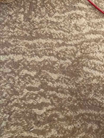 Photo of free Carpet offcut -loop pile wool (Aston SG2) #2