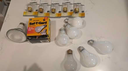 Photo of free Variety of incandescent bulbs (Roslindale) #1