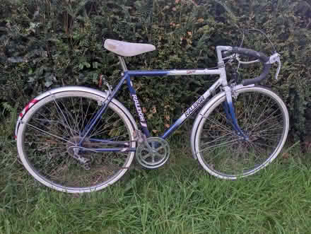 Photo of free Raleigh winner vintage bike (Two Dales DE4) #4