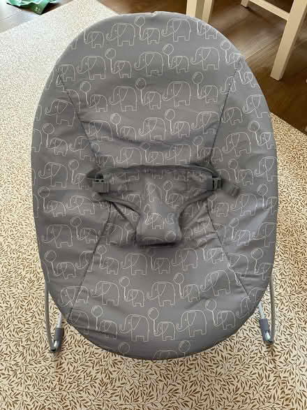 Photo of free Baby bouncer (Maidstone ME15) #1