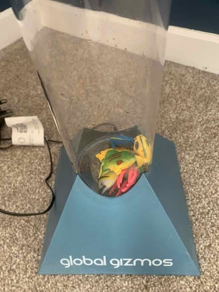 Photo of free Light changing fish bubble tube (Redbourn, AL3) #2