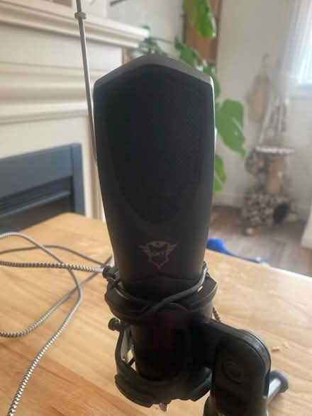 Photo of free Microphone with tripod stand (Whins of Milton FK7) #2