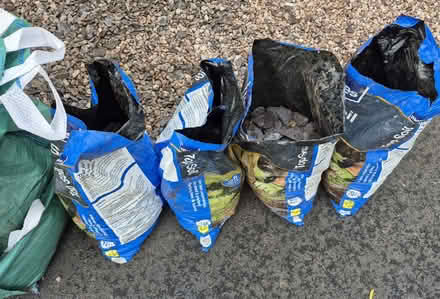 Photo of free Blue Slate decorative (Mosborough Sheffield S20) #1