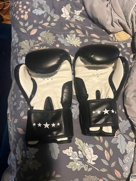 Photo of free Boxing Gloves (Petworth) #2