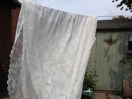 Photo of free Lace curtains (Lower Bebington CH63) #1