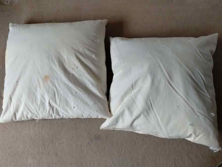 Photo of free 4 large feather cushion inserts 60x60cm (Irby CH61) #1