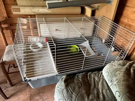 Photo of free Guinea pig cage (Birmingham B28) #1