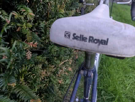 Photo of free Raleigh winner vintage bike (Two Dales DE4) #1