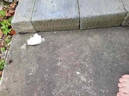 Photo of free Concrete Blocks (Plymouth PL4) #1