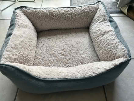 Photo of free Pet bed (CM1 Broomfield) #1