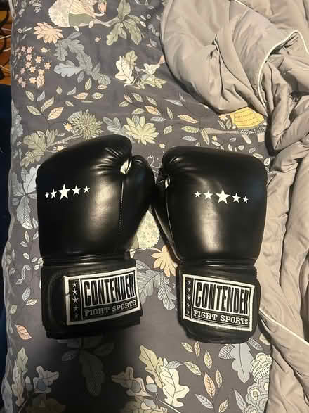 Photo of free Boxing Gloves (Petworth) #1