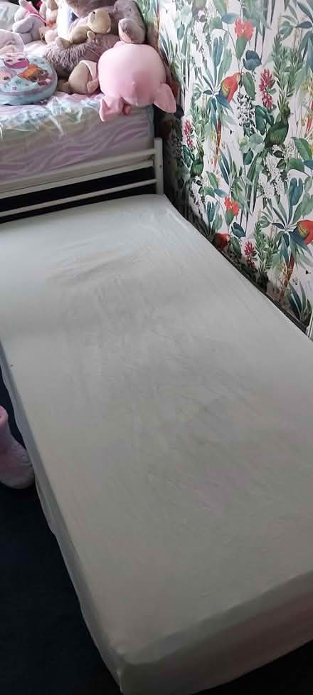 Photo of free Single matress (Cliburn CA10) #1